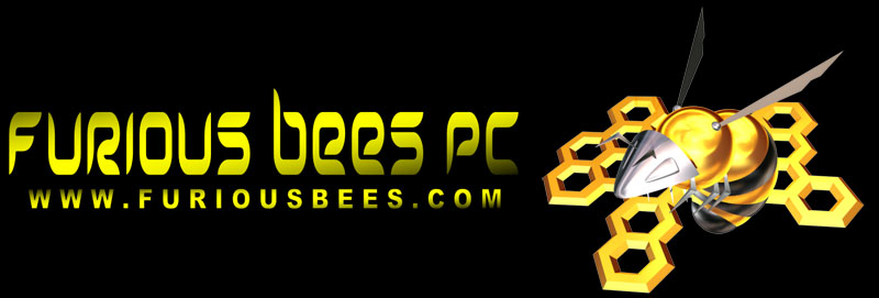 Furious Bees PC